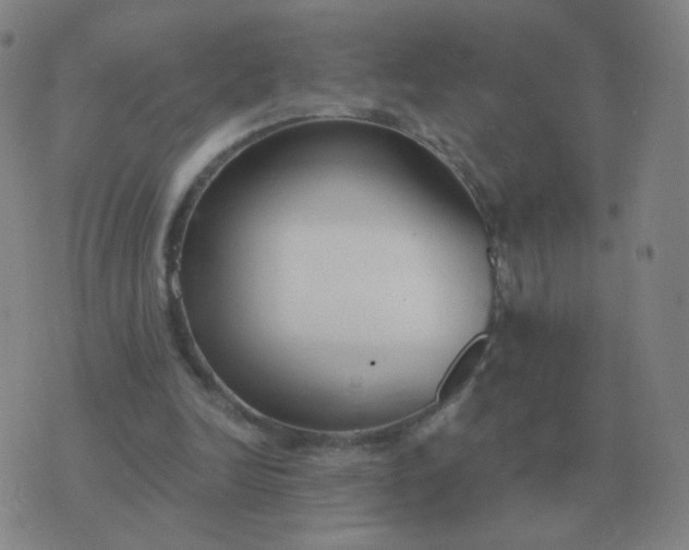 X0000076390246200610202111