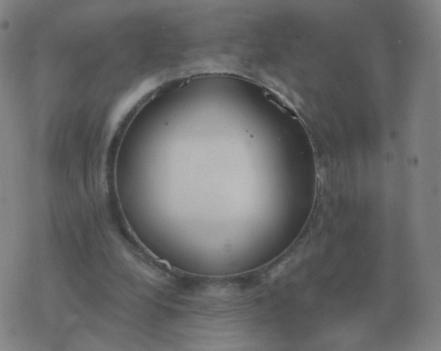 X0000076390248200610202111