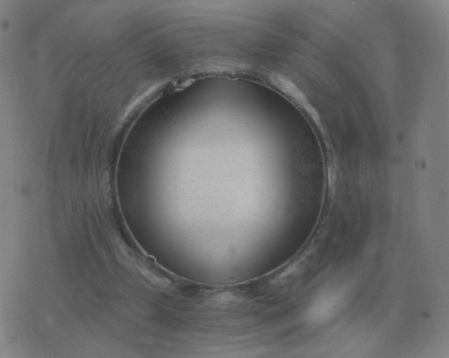 X0000076390249200610202111