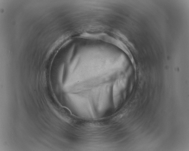 X0000076390250200610202111