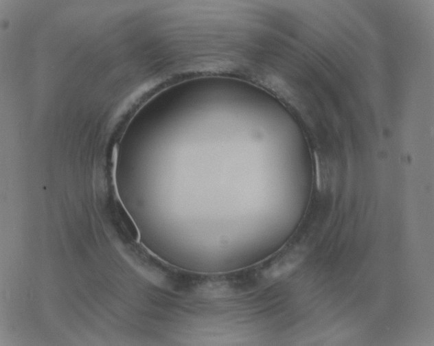 X0000076390252200610202111