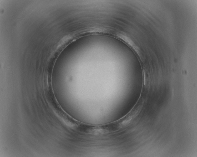 X0000076390253200610202111