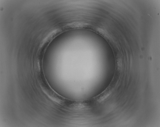 X0000076390254200610202111