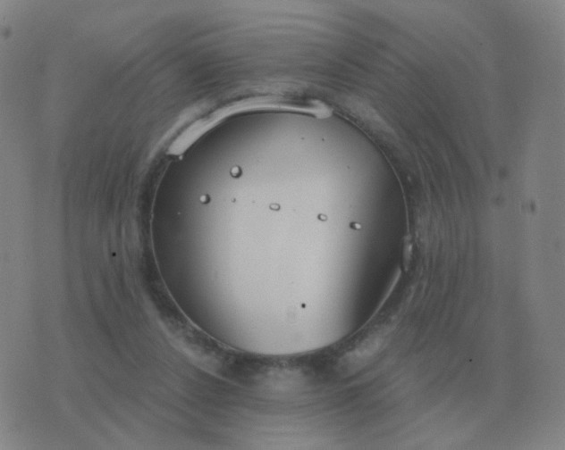 X0000076390256200610202111