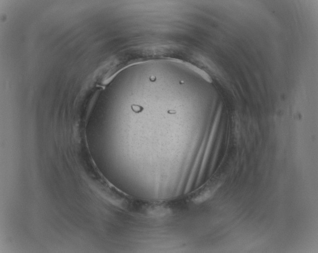 X0000076390258200610202111