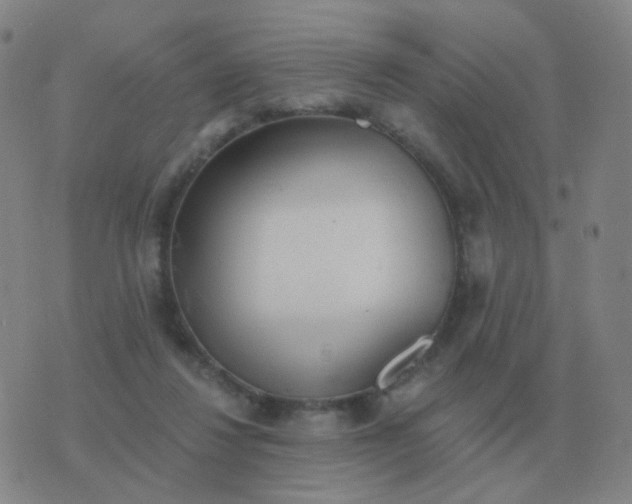 X0000076390260200610202111