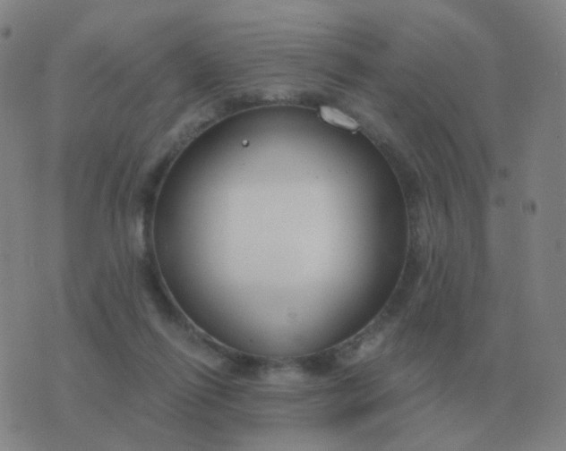 X0000076390262200610202111