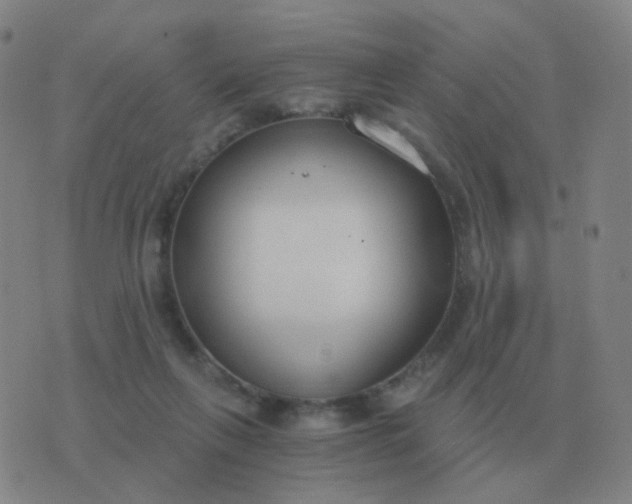 X0000076390263200610202111