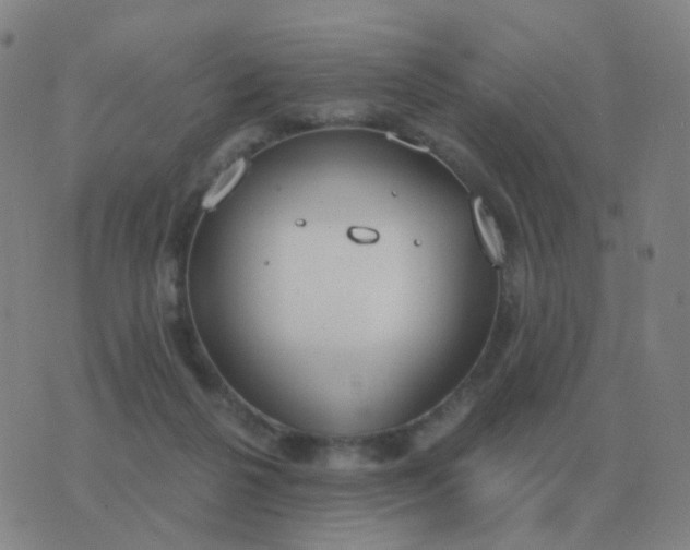 X0000076390264200610202111