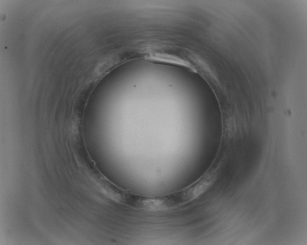 X0000076390265200610202112