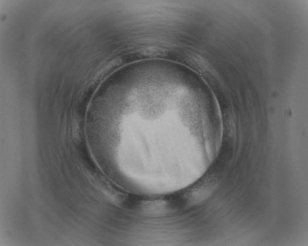 X0000076390266200610202112