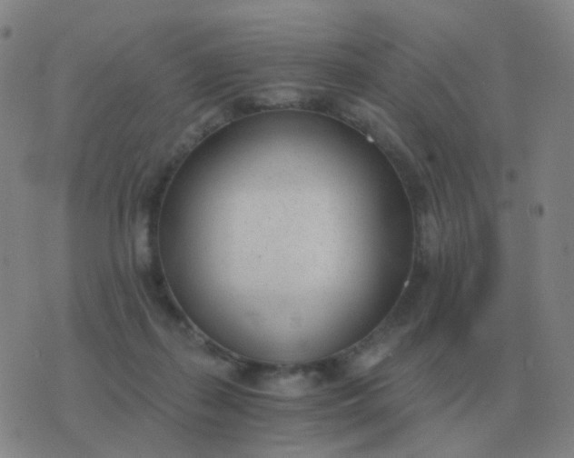 X0000076390267200610202112