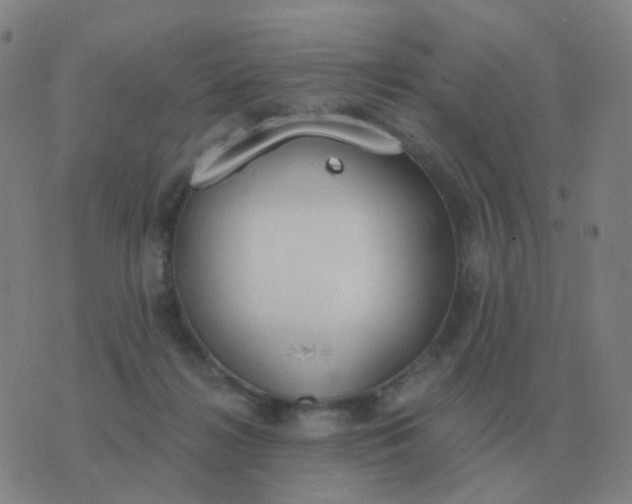 X0000076390268200610202112