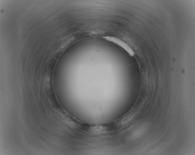 X0000076390269200610202112