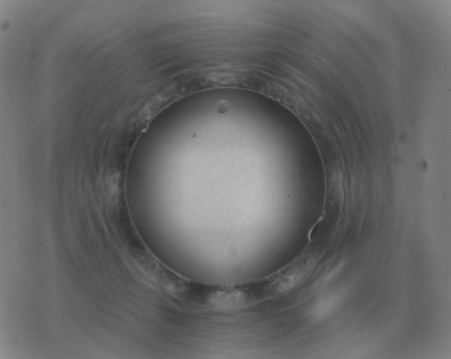 X0000076390271200610202112