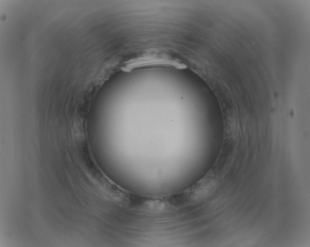 X0000076390272200610202112