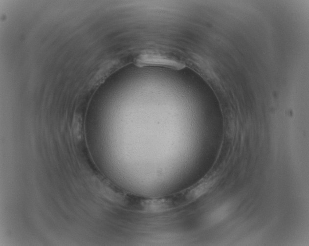 X0000076390273200610202112