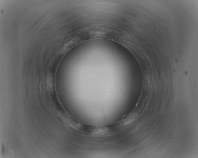 X0000076390274200610202112