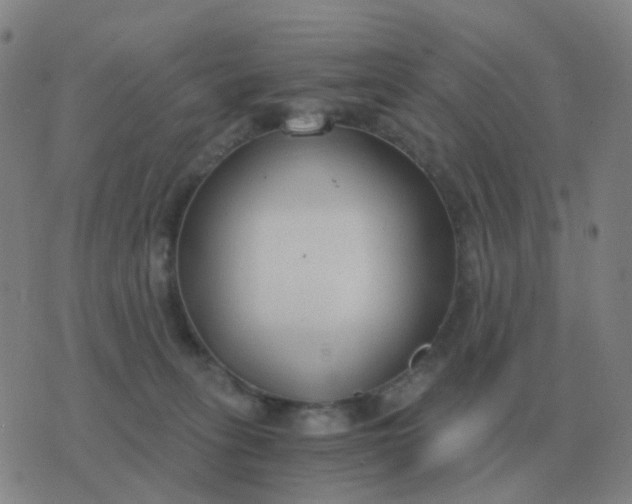 X0000076390275200610202112