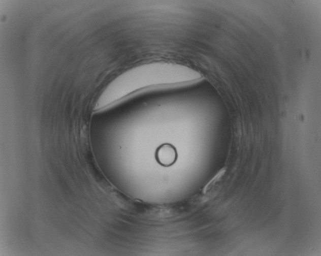 X0000076390276200610202112