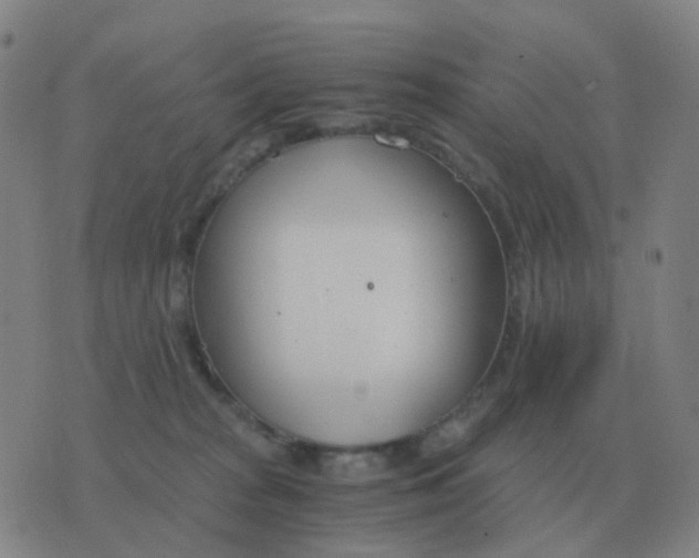 X0000076390277200610202112