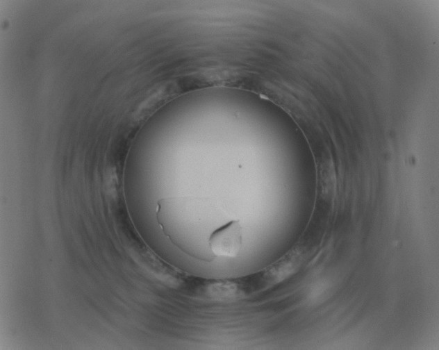 X0000076390279200610202112