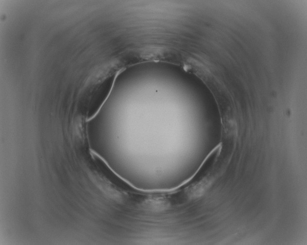 X0000076390280200610202112