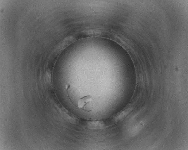 X0000076390281200610202112