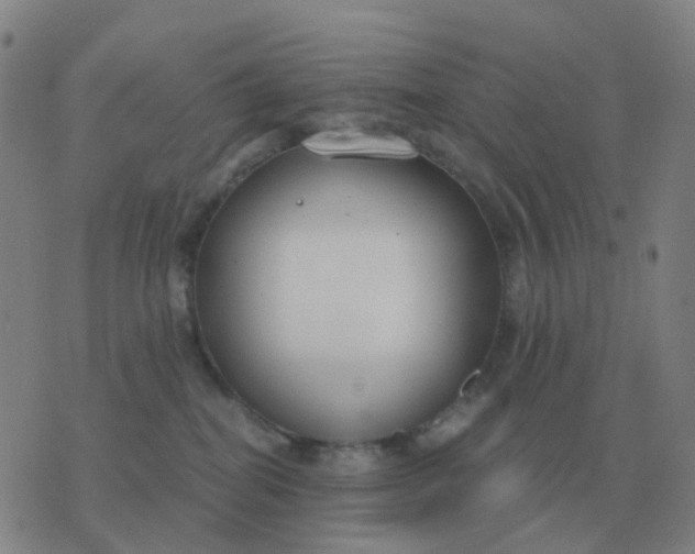 X0000076390282200610202112