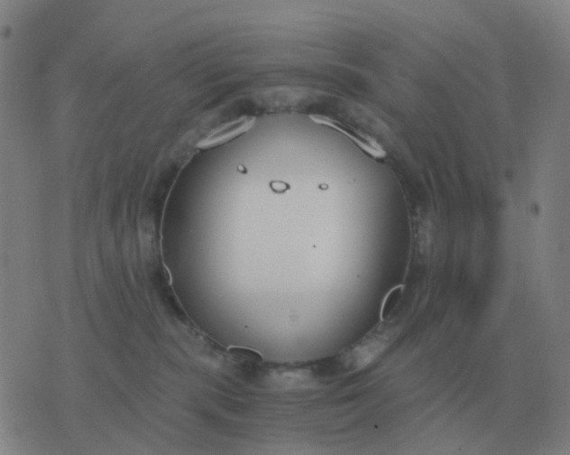 X0000076390283200610202112