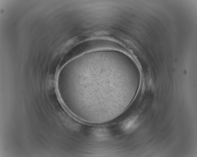 X0000076390284200610202112