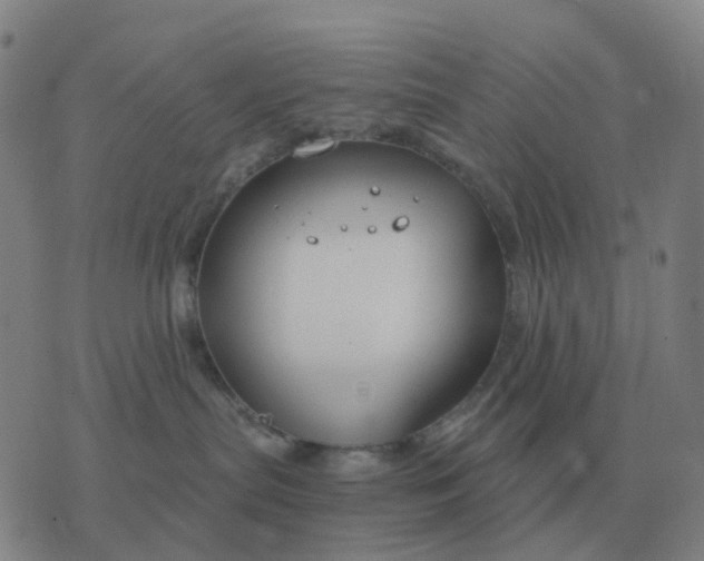 X0000076390287200610202112