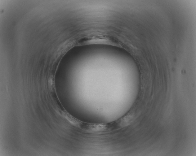 X0000076390288200610202112