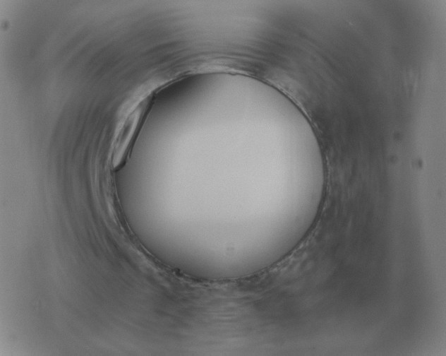 X0000076390289200610202111