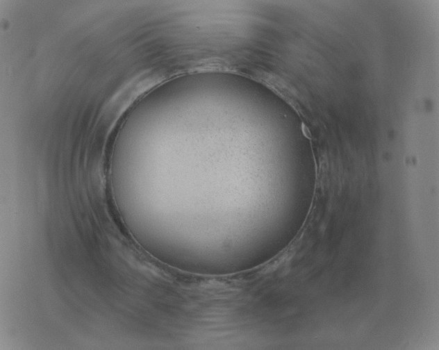 X0000076390290200610202111