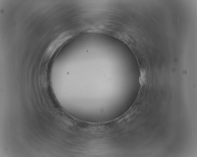 X0000076390291200610202111