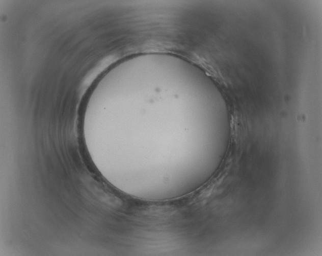 X0000076390292200610202111