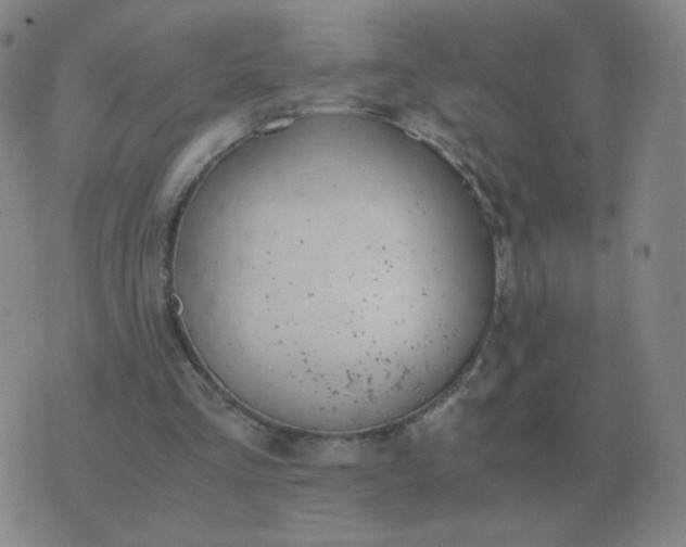 X0000076390293200610202111