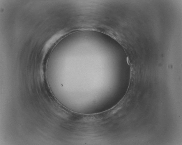 X0000076390294200610202111