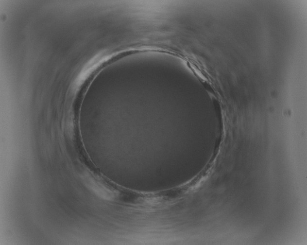 X0000076390295200610202111