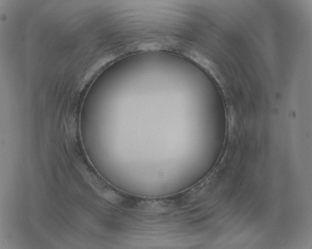 X0000076390297200610202111