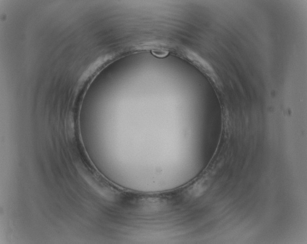 X0000076390298200610202111