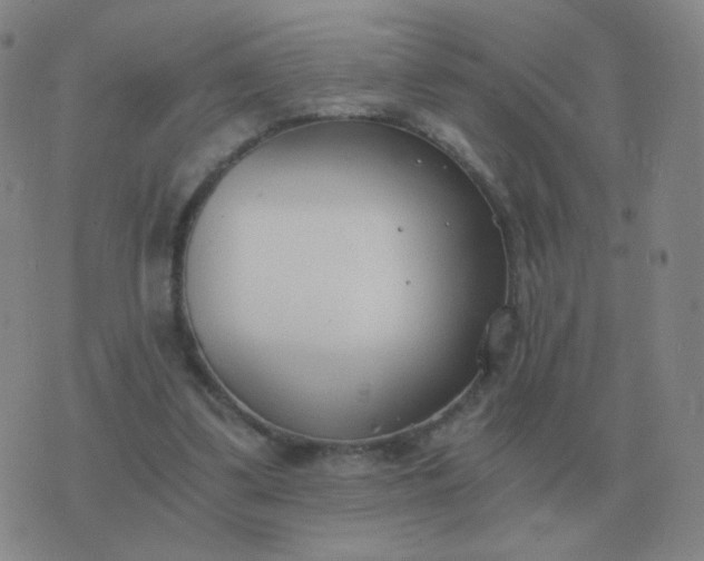 X0000076390299200610202111