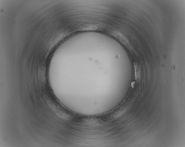 X0000076390300200610202111