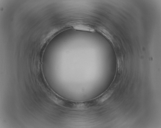 X0000076390301200610202111