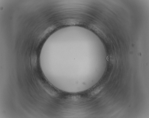 X0000076390304200610202111