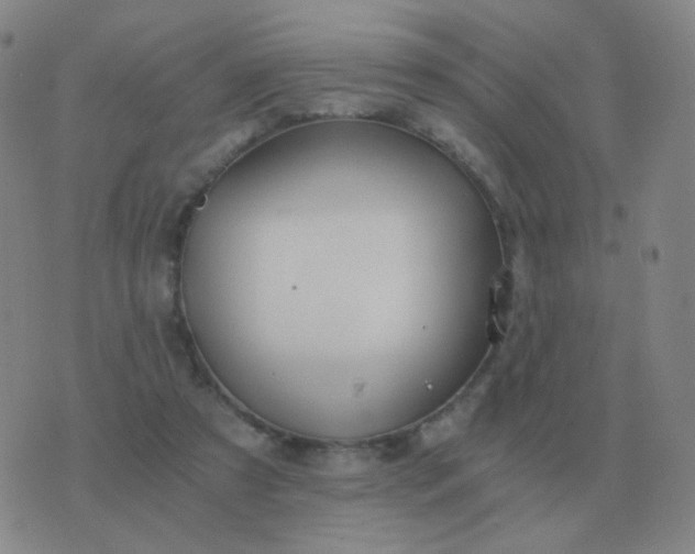 X0000076390305200610202111