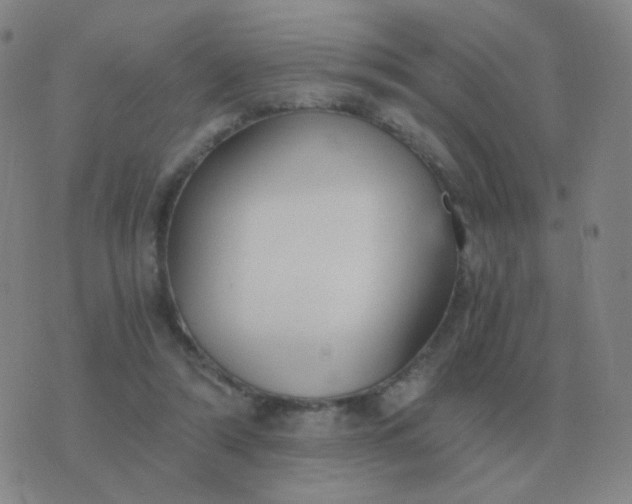 X0000076390306200610202111