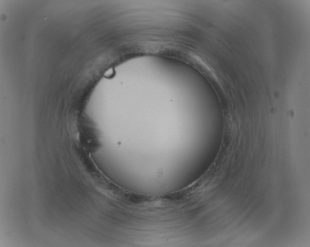 X0000076390307200610202111