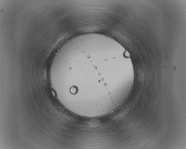 X0000076390308200610202111